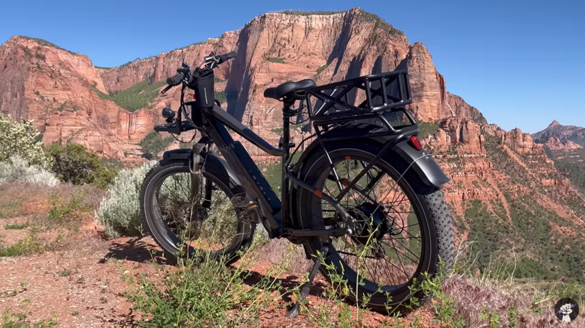 Rad Power Bike 6 Plus