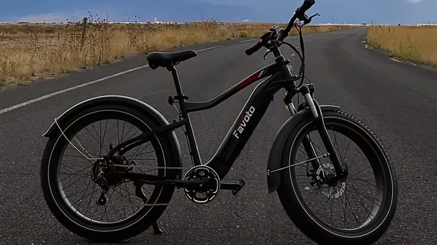 Favoto Flurry 2.0 Electric Bike