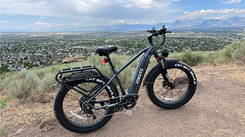Eskute Spark X Electric Fat Tire eBike