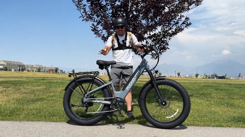 Pucki puppy Samoyed Electric Fat Tire Ebike