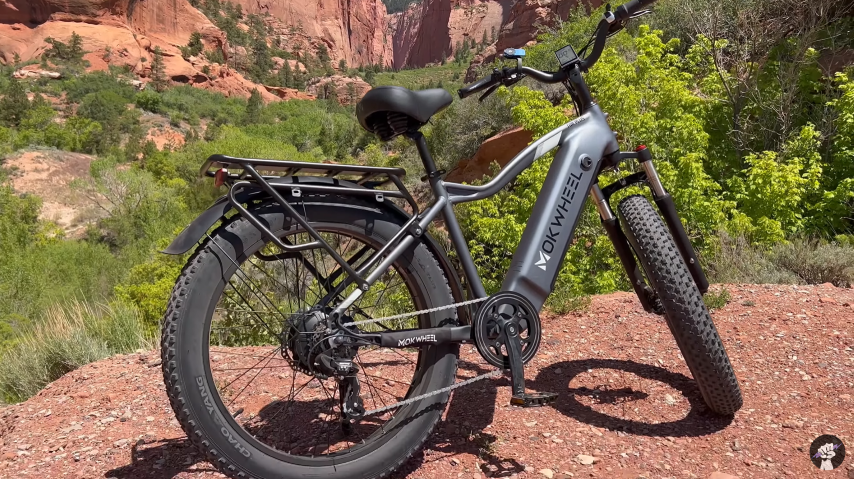 Mokwheel Tor Plus All Terrain eBike