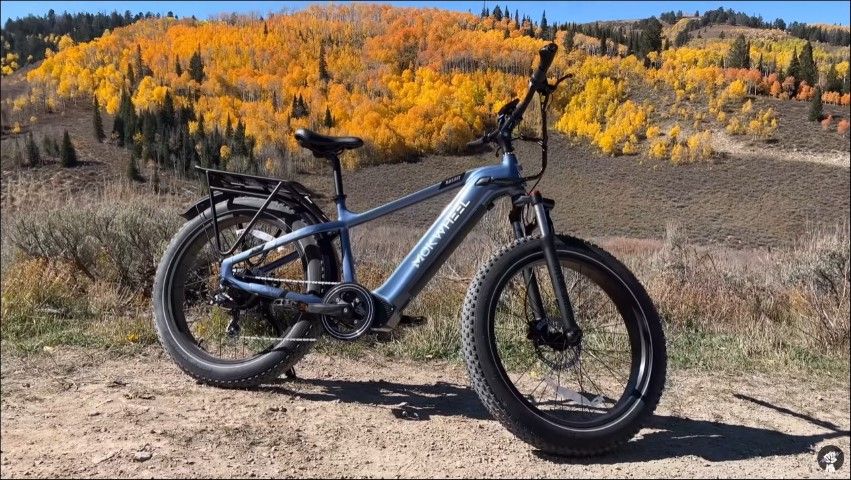Mokwheel Basalt Electric Bike
