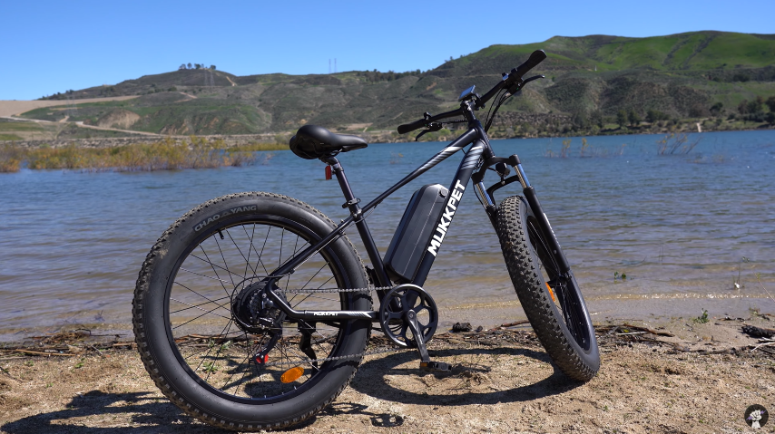 Mukkpet 750 Electric All Terrain eBike